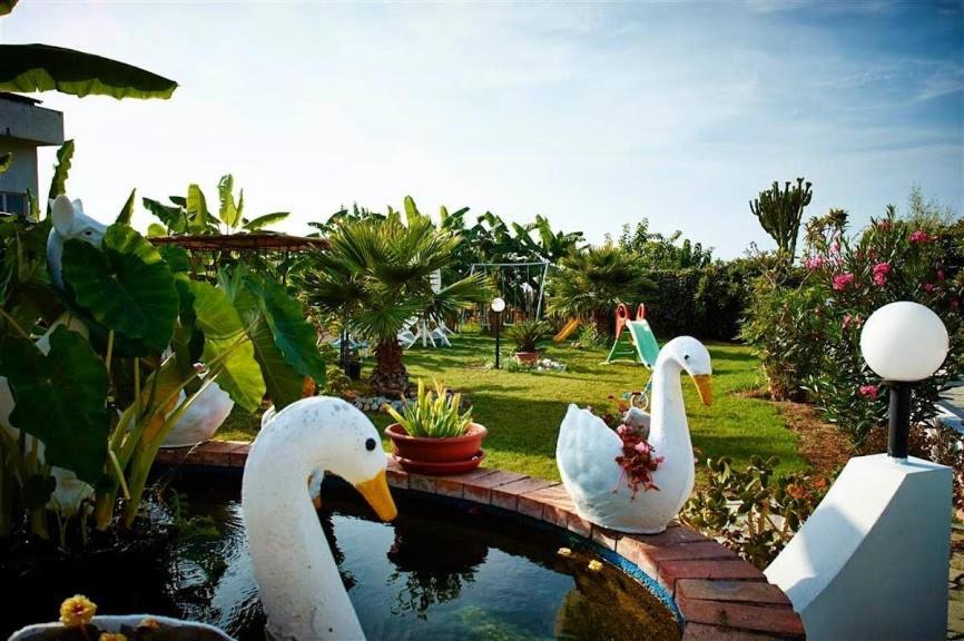 Case Vacanze Giardino Parghelia Eksteriør bilde