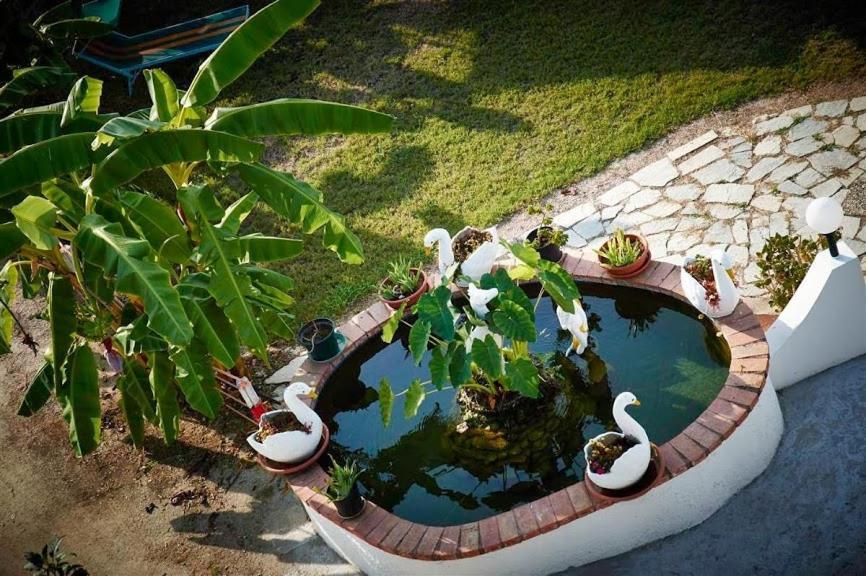 Case Vacanze Giardino Parghelia Eksteriør bilde